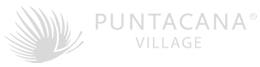 pc-village-logo1